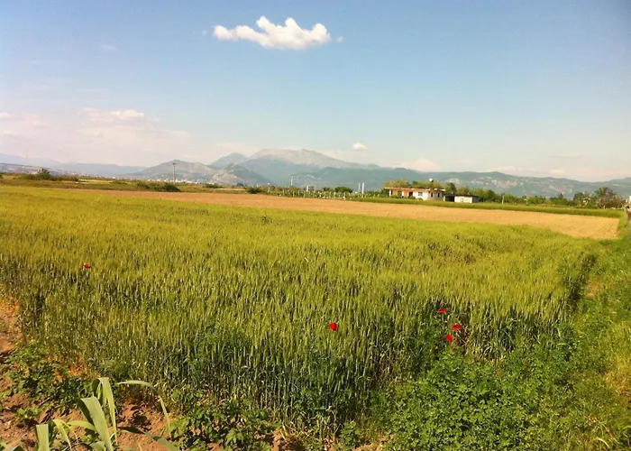 Rustic Séjour chez l'habitant Tale