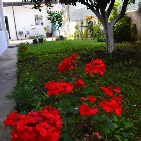 Homestay Rustic *