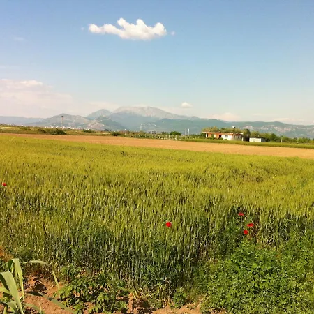 Rustic Homestay Tale