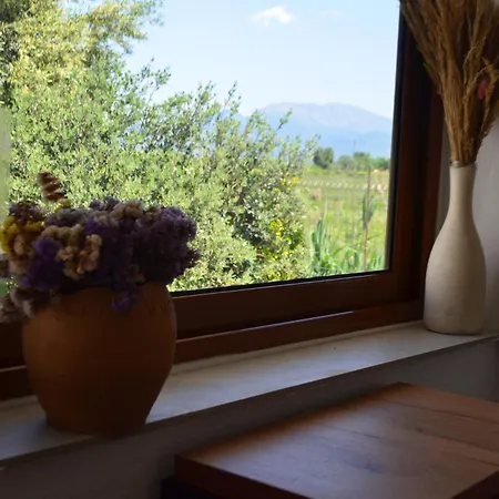 Rustic Homestay Tale