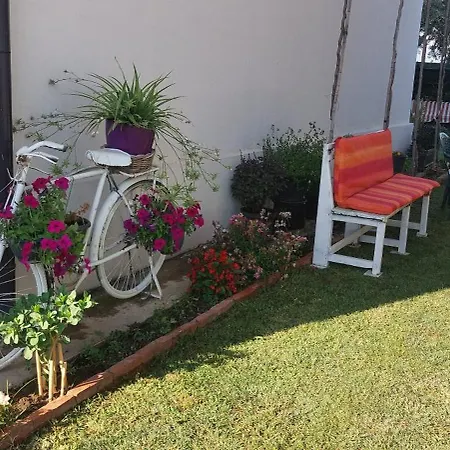 Accommodatie bij particulieren Rustic *